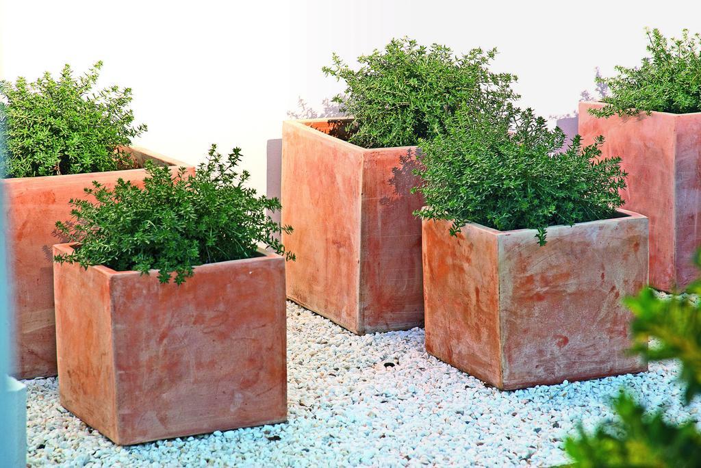 Apartment Cabot Sivella *